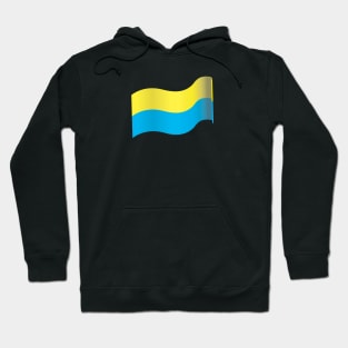 Ukraine Hoodie